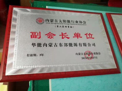 华能内蒙古东部能源有限公司