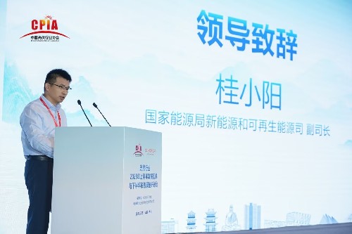 国家能源局新能源司副司长桂小阳：推动地方尽快落实136号文，加大对新能源入市的机制研究