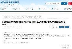 内蒙古自治区能源局关于印发《内蒙古自治区分布式光伏项目开发建设管理实施细则》的通知