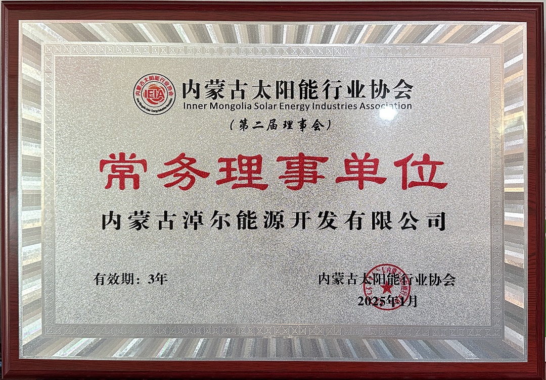 淖尔能源-常务理事2025.jpg